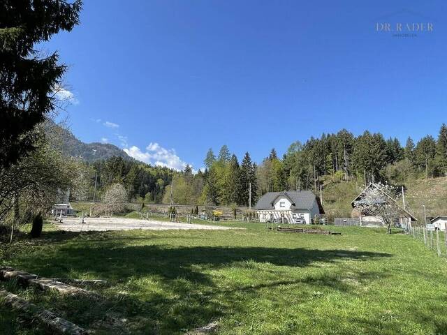 Immobilie in Mallenitzen - Naturparadies nähe Faaker See mit 12.000m² Grundstück - Bild 4