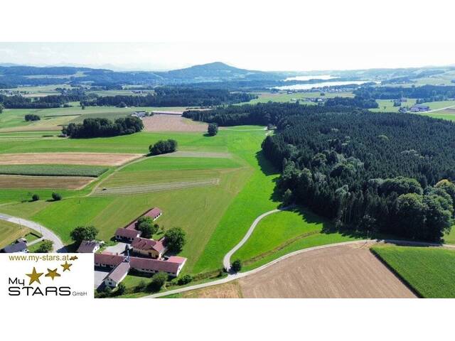 Immobilie in Palting - neuer Kaufpreis: Gepflegtes Zuhause nahe dem Mattsee mit großem Garten, Dachterrasse und Doppel-Carport! - Bild 1