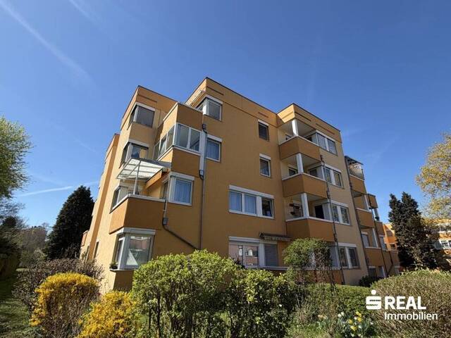 Immobilie in Enns - Eigentumswohnung in ruhiger Parklage - Bild 1