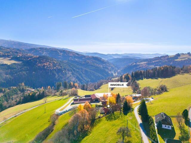 Immobilie in Hüttenberg - Einzigartiges Ensemble mit drei Häusern in Naturidylle - Bild 1
