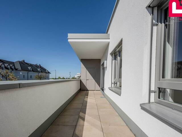 Immobilie in Tragwein - Stilvolle 3-Zimmer-Dachterrassenwohnung mit Süd-Ausrichtung & Weitblick in Tragwein - jetzt preisreduziert! - Bild 1
