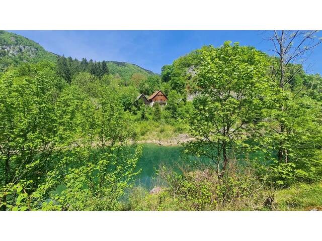 Immobilie in Weyer - Wohnen am Wasser in grüner Idylle! - Bild 0