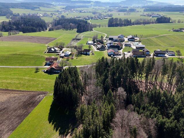Immobilie in Palting - Charmantes Bauernhaus mit ca. 700m² Grund Nähe Mattsee - Bild 2