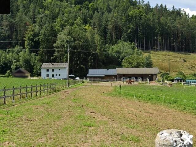 Immobilie in Sittersdorf - Wohnen, Natur & Freiraum vereint! Zweifamilienhaus mit Nebengebäuden, Landwirtschafts‑ und Forstflächen - Bild 0