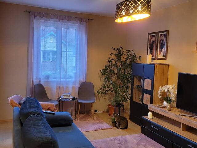 Immobilie in Wilhelmsburg - Provisionsfrei !Helle, gut geschnittene Wohnung mit Tiefgarage. - Bild 1