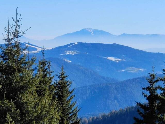 Immobilie in Sirnitz - Kärnten erleben: Hochwertiger Zweitwohnsitz in bester Höhenlage nahe Turracher Höhe! Honorarfrei für Käufer: innen! - Bild 4