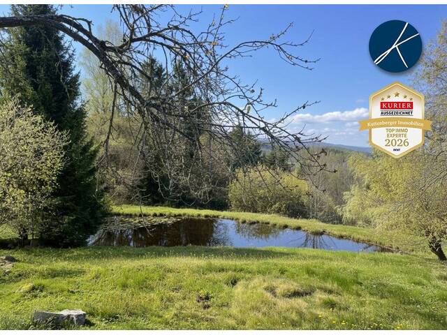 Immobilie in Siebenhöf - Einzellage: Idyllisches Landhaus mit ca. 9ha Wald und Teich - Bild 3