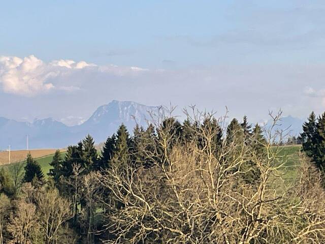 Immobilie in Ungenach - Charmantes Sacherl mit großem Potenzial in naturnaher Ruhelage mit Blick auf den Traunstein – sanierungsbedürftig! - Bild 1