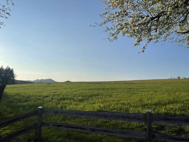 Immobilie in Ungenach - Charmantes Sacherl mit großem Potenzial in naturnaher Ruhelage mit Blick auf den Traunstein – sanierungsbedürftig! - Bild 3