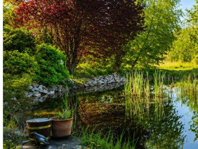Immobilie in Enzesfeld-Lindabrunn - Die kleine Muse am Teich! - Bild 1