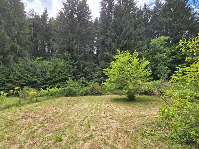 Immobilie in Spittal an der Drau - 1.951m² großer Kleingartentraum mit kleinem Haus in ruhiger Lage in Spittal an der Drau - Bild 3