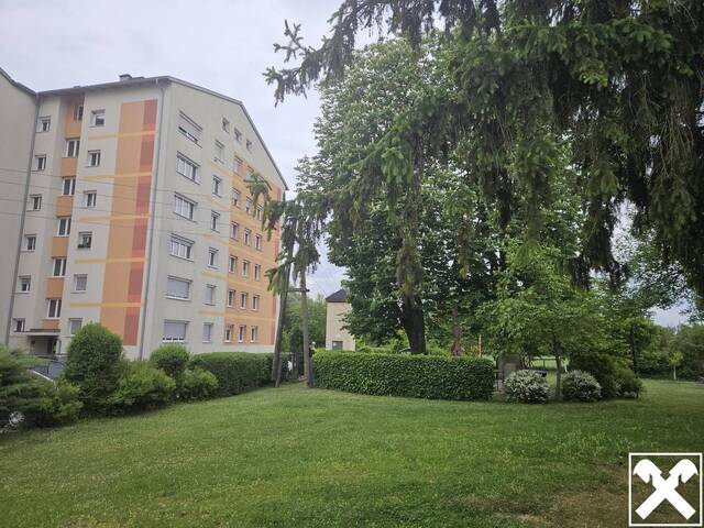 Immobilie in Traun - Eigentumswohnung Traun - Bild 0