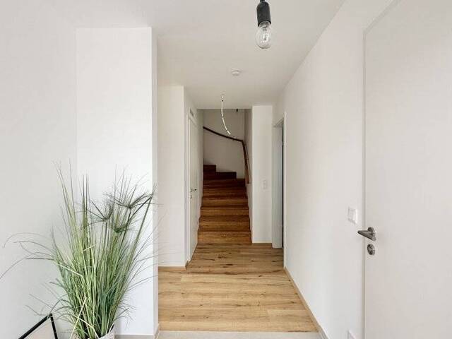 Immobilie in Wienerherberg - Modernes Wohnen im Grünen vor den Toren Wiens - Neubau mit höchster Energieeffizienz und Wohnkomfort - Bild 4