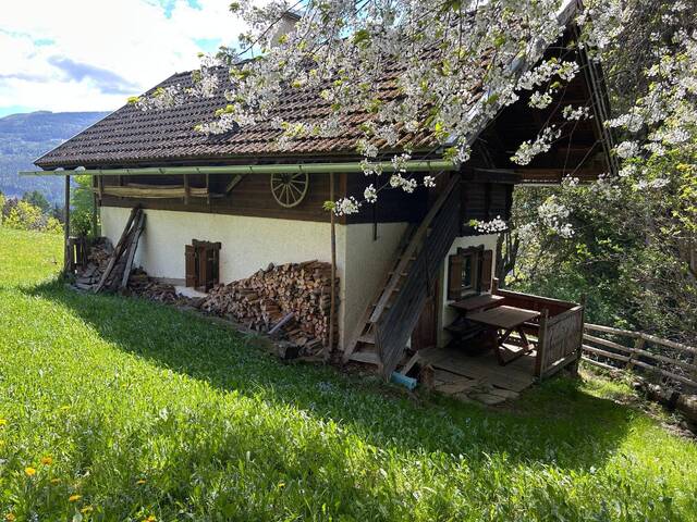 Immobilie in Eisentratten - Almhütte - Bild 3
