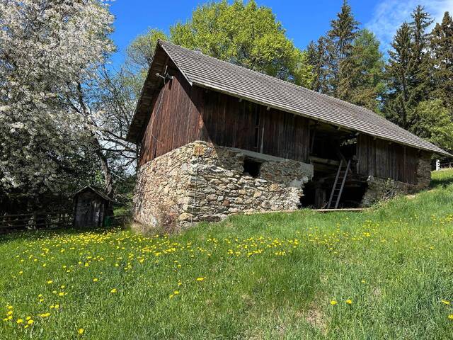 Immobilie in Eisentratten - Almhütte - Bild 4