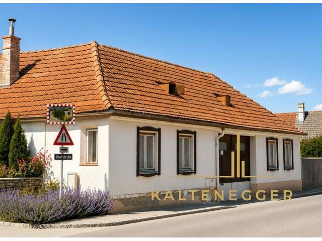 Immobilie in Wilfersdorf - Einfamilienhaus mit Innenhof, Nebengebäuden und Entwicklungspotenzial in Wilfersdorf - Bild 0