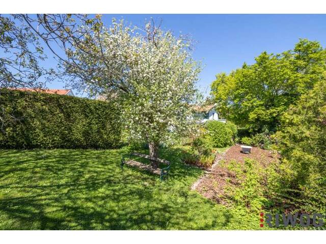 Immobilie in Gießhübl - Familienleben im Grünen mit hervorragender Anbindung zu Wien – großzügiges Grundstück mit Haus und Garten in Gießhübl - Bild 4