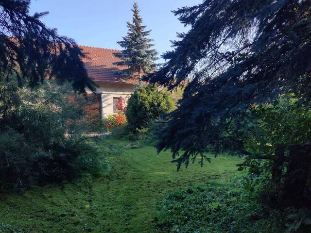 Immobilie in Eggenburg - Bauernhof mit Pferdehof-Potential, nur 1 h von Wien - Bild 2