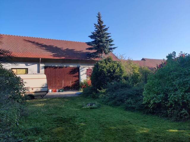 Immobilie in Eggenburg - Bauernhof mit Pferdehof-Potential, nur 1 h von Wien - Bild 3