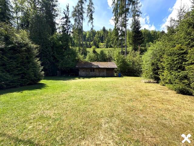 Immobilie in Grünau im Almtal - RÜCKZUGSORT IM GRÜNEN! Charmantes Kleinwohnhaus mit großzügigem Grundstück - Bild 2