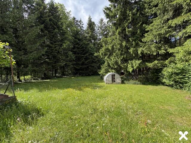 Immobilie in Roßbach - Einfamilienhaus mit großen Garten am Waldrand - Bild 1