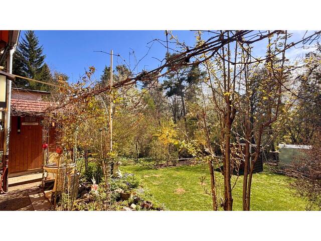 Immobilie in Lockenhaus - Rückzugsort im Grünen: Haus mit Wintergarten auf Pachtgrund - Bild 4