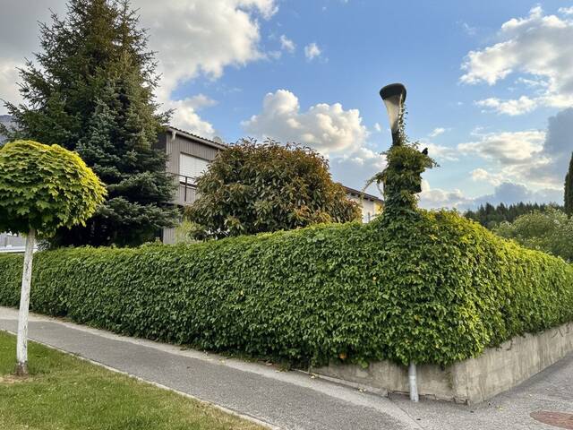 Immobilie in Mils - Mils: Sonniges Eckreihenhaus auf ca. 282 m² Grundstück mit großem Garten nahe Innsbruck - Bild 0