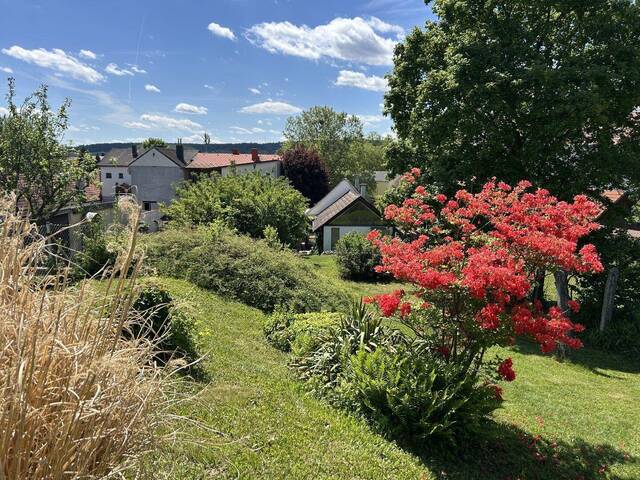 Immobilie in Stoob - EINZIGARTIGE Galerieresidenz im revitalisierten Bauernhaus mit spektakulärem Zubau, uneinsehbarem Innenhof, Gartenparadies, Pool und Sauna in Stoob! - Bild 3