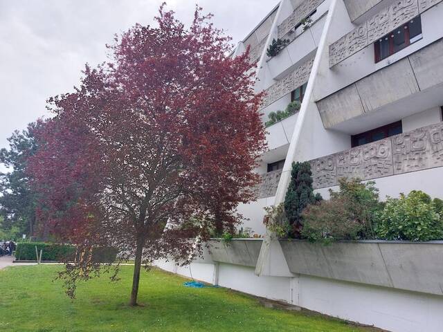 Immobilie in Perchtoldsdorf - Perchtholdsdorf Aspettenstraße - Bild 1