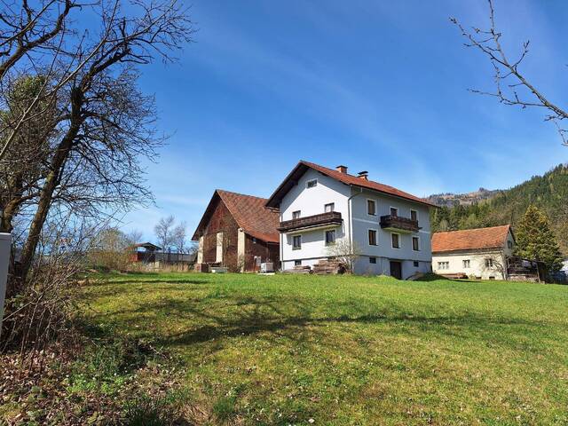 Immobilie in Parschlug - Hofanwesen mit Wohnaus - Bild 0