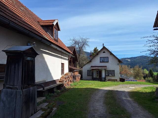 Immobilie in Parschlug - Hofanwesen mit Wohnaus - Bild 1