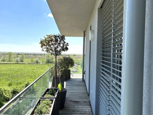 Immobilie in Oggau am Neusiedler See - 365 Tage Urlaub! Exklusives See-Appartement, Bootsanlegeplatz optional! - Bild 2