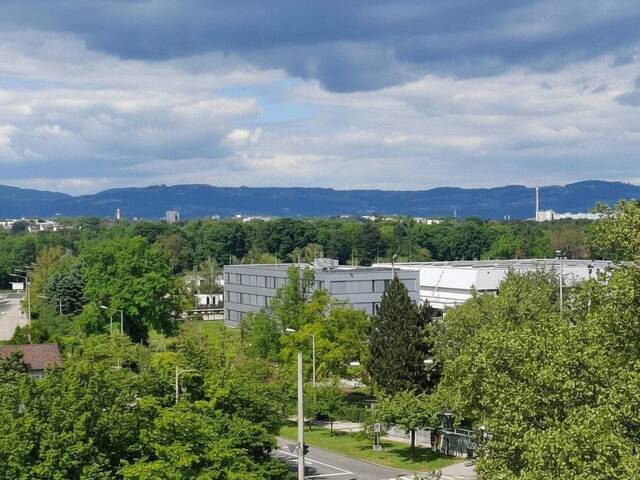 Immobilie in Linz - Sanierte 3 Zimmerwohnung mit Loggia und Blick ins Grüne - Bild 0