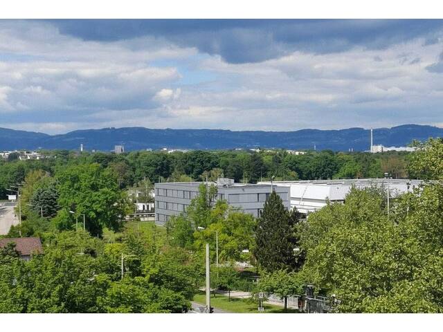 Immobilie in Linz - Sanierte 3 Zimmerwohnung mit Loggia und Blick ins Grüne - Bild 3