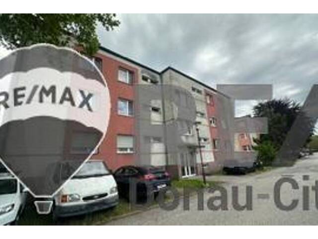 Immobilie in Pitten - Wohnung - thermisch saniert! - Bild 3