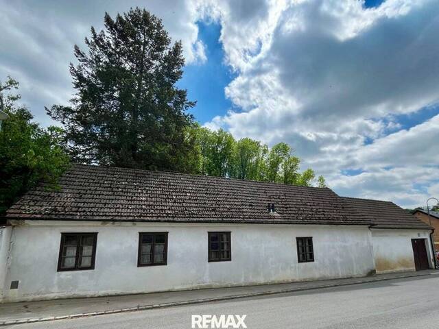 Immobilie in Hornsburg - Historisches Anwesen mit unberührtem Waldparadies! - Bild 4