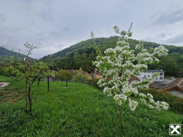 Immobilie in Mühldorf - AUF DER SUCHE NACH EINEM NEUEN BUNGALOW IM ERSTBEZUG IN AUSSICHTSLAGE - Bild 4