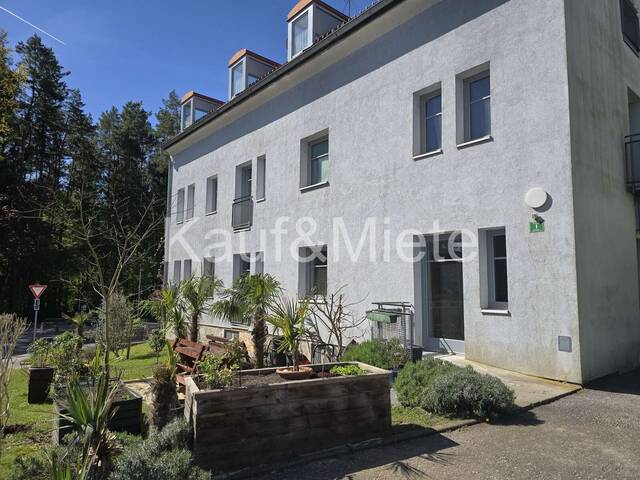 Immobilie in Weinitzen - Entzückende Kleinwohnung im Zentrum von Graz-Weinitzen - Bild 1