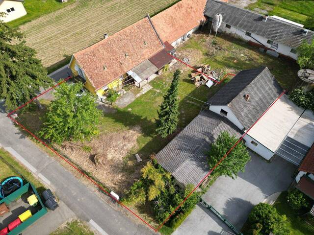 Immobilie in Wildon - Selbst ist der Hausherr – Bastlerhit mit Nebengebäuden auf ca. 900 m² bei Wildon - Bild 2