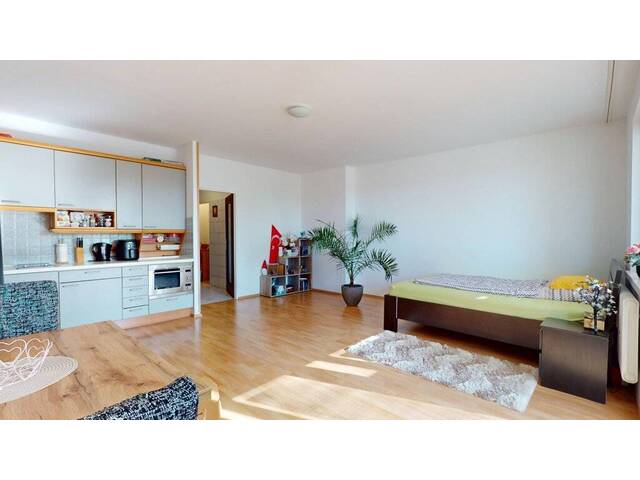 Immobilie in Biedermannsdorf - Neuer Preis und PROVISIONSFREI - Sehr heimelige und großzügige Wohnung im Herzen von Biedermannsdorf - Bild 3