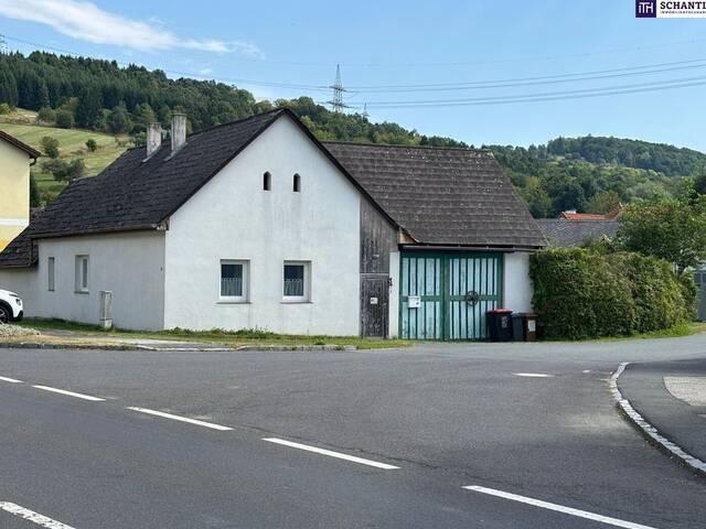 Immobilie in Goberling - Tolle Gelegenheit - Landleben zum Einstiegspreis - Haus mit Garten & viel Potenzial! - Bild 2