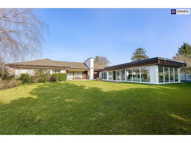 Immobilie in Gänserndorf - Bungalow mit Indoor-Pool, Weinkeller & außergewöhnlich großem Grundstück / Eigengrund - Bild 3
