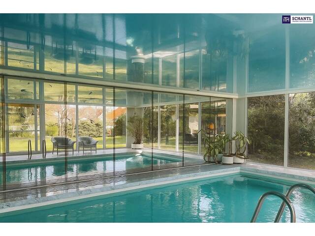 Immobilie in Gänserndorf - Bungalow mit Indoor-Pool, Weinkeller & außergewöhnlich großem Grundstück / Eigengrund - Bild 4