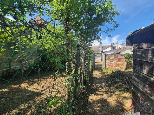 Immobilie in Rabensburg - Natur, Ruhe und viel Potenzial - Sanierungsobjekt - Bild 2