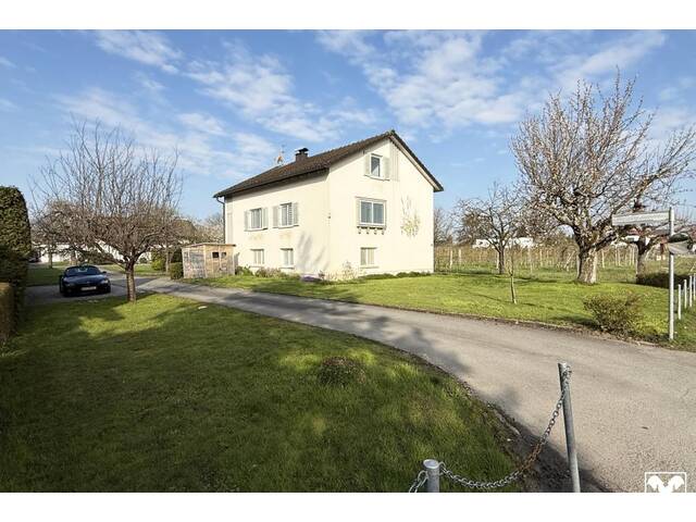 Immobilie in Gaißau - Gaissau: Wohnhaus mit 2 Wohnungen - Bild 3