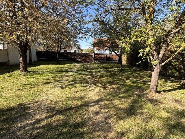 Immobilie in Neupölla - Historischer Altbau mit großem Garten in Neu Pölla - Bild 3