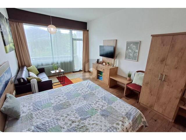 Immobilie in Bad Goisern - SOFORT BEZUGSFERTIG: RENDITESTARKES FERIENAPARTMENT IN BAD GOISERN - Bild 3