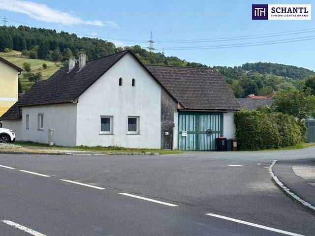 Immobilie in Stadtschlaining - Tolle Gelegenheit - Landleben zum Einstiegspreis – Haus mit Garten & viel Potenzial! - Bild 2