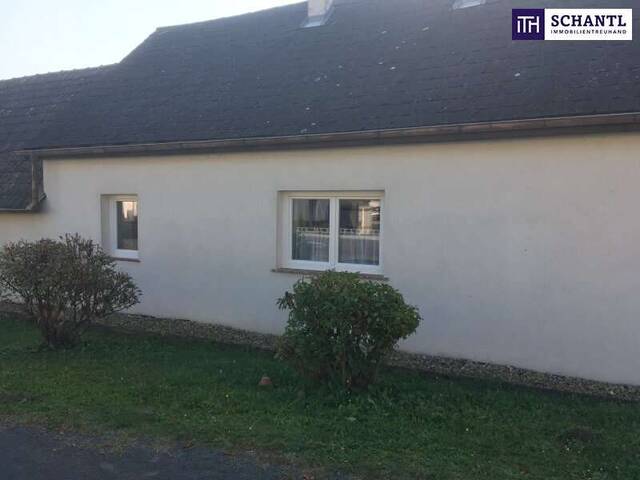 Immobilie in Stadtschlaining - Tolle Gelegenheit - Landleben zum Einstiegspreis – Haus mit Garten & viel Potenzial! - Bild 4