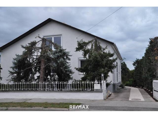 Immobilie in Deutschkreutz - Stilvoll modernisiertes Einfamilienhaus mit großzügigem Wohngefühl - Bild 2
